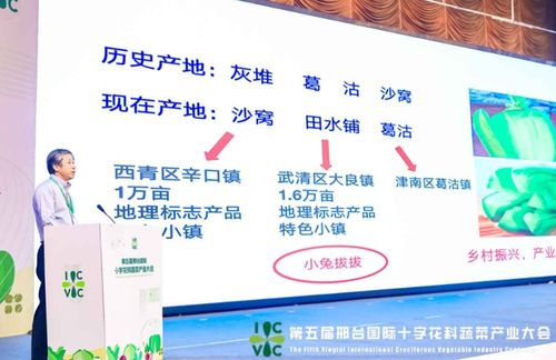 小種子撬動大產業 第五屆邢臺國際十字花科蔬菜產業大會盛大啟帷，展現科技興農新圖景